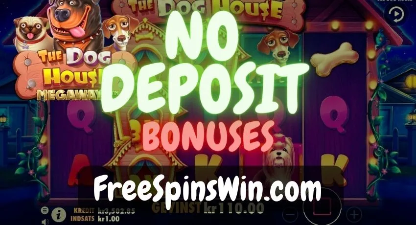 Choose the best no deposit bonuses and free spins at online casinos in the photo.