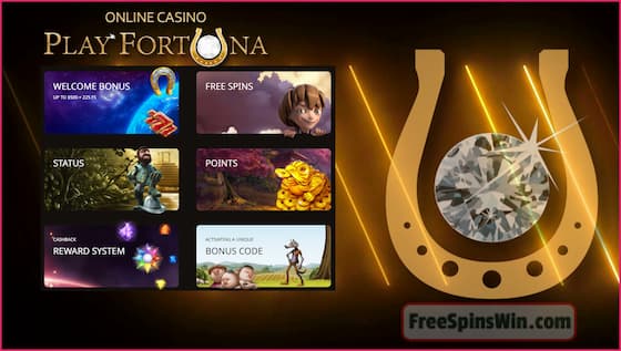 Free spins, bonuses, cashback and special promotions await players in the Casino PlayFortuna in this image!